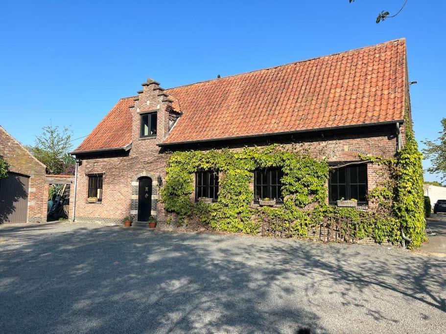 Hoeve Hooierzele Waasmunster Экстерьер фото