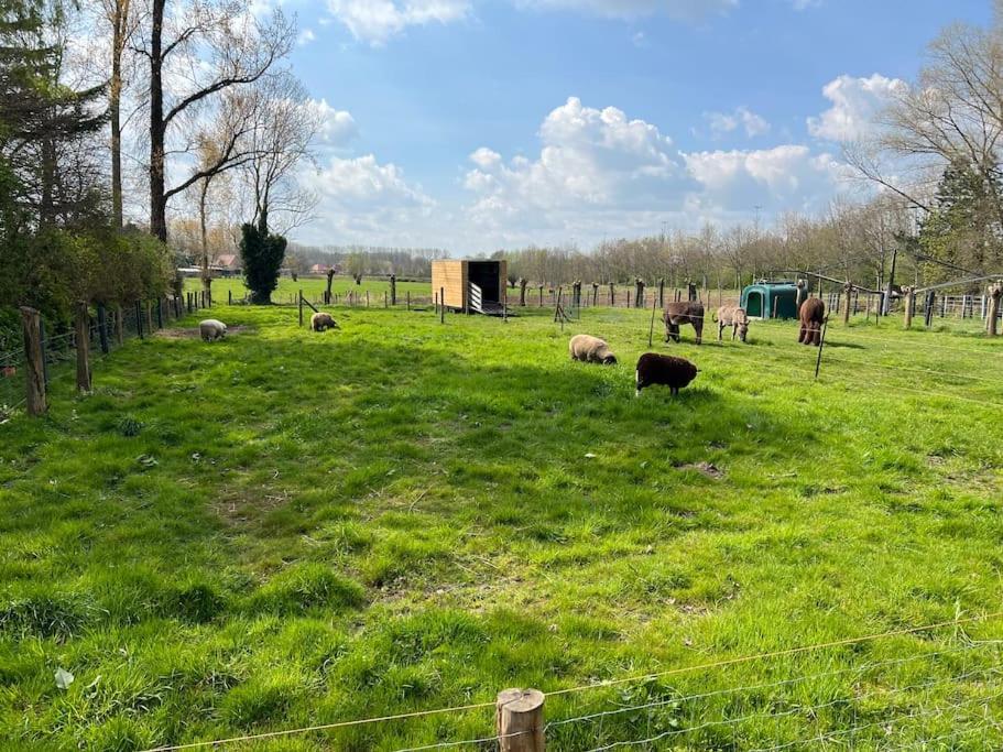 Hoeve Hooierzele Waasmunster Экстерьер фото